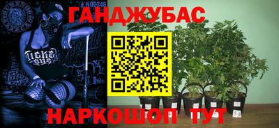 ПСИЛОЦИБИНОВЫЕ ГРИБЫ Краснознаменск